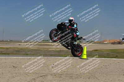 media/Mar-24-2025-2WTD (Mon) [[55b4b08488]]/B Group/1220pm (Wheelie Bump)/